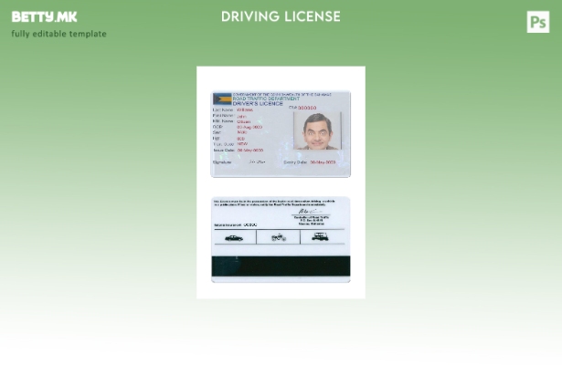 Шаблон за возачка дозвола на Бахамите во модерен стил